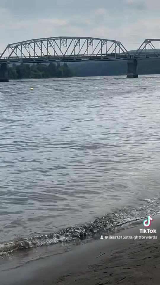 @⭐️❤️ TAAJZ🇨🇦✌️⭐️