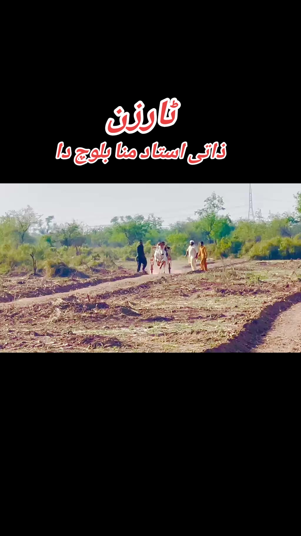 @چوہدری شاہد سلیم مڑل