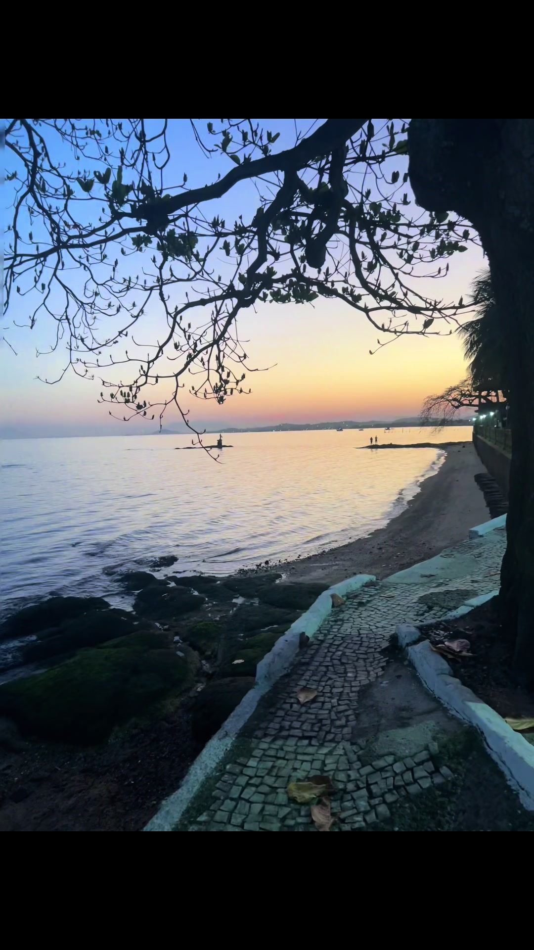 @M&ocirc;nica