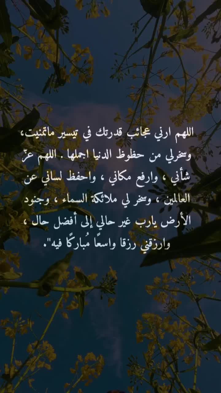 @duaa_a