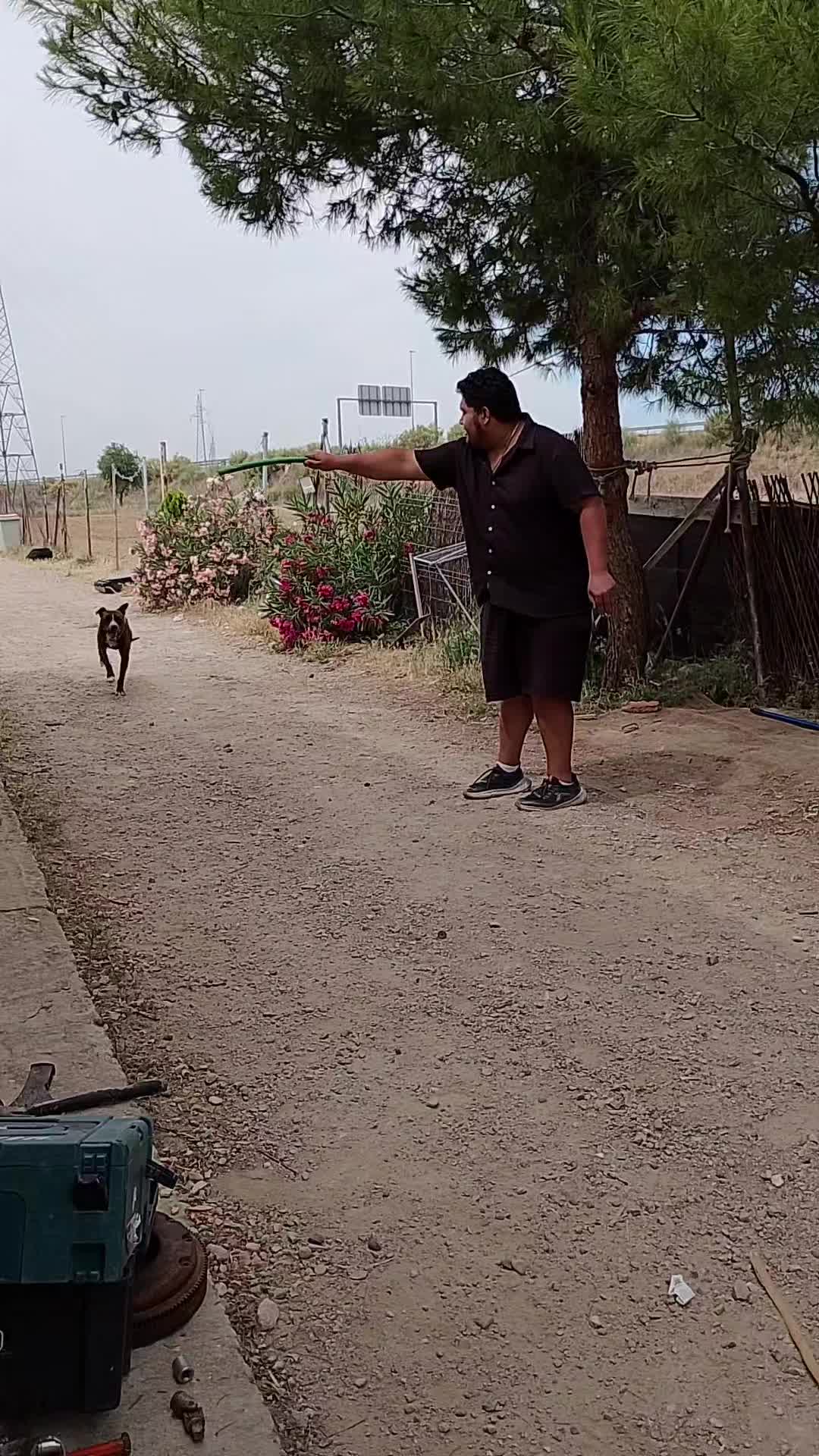 @CUADRA FERN&Aacute;NDEZ 🇦🇿🐎