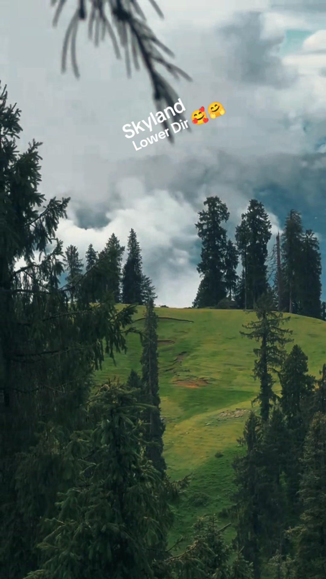 @Mr_Tariq