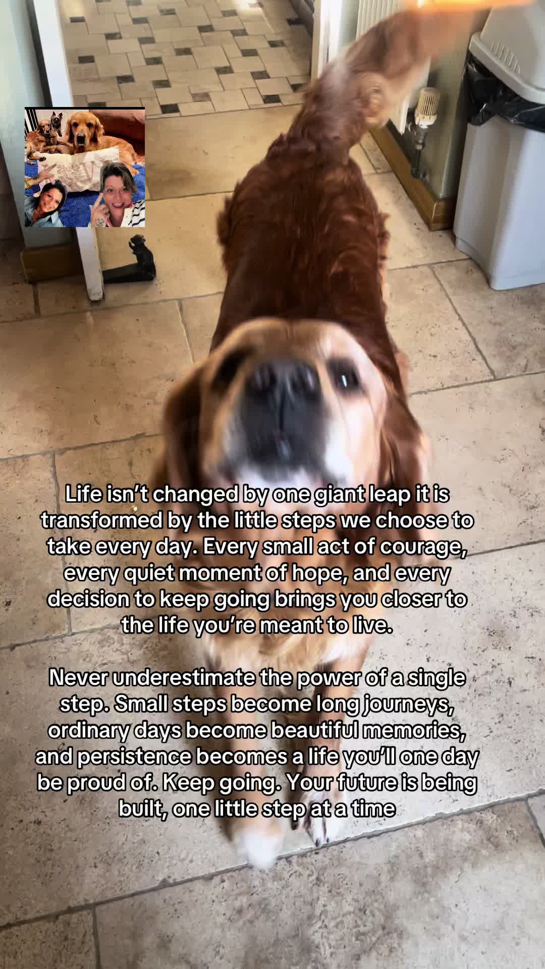 @Happy buddy