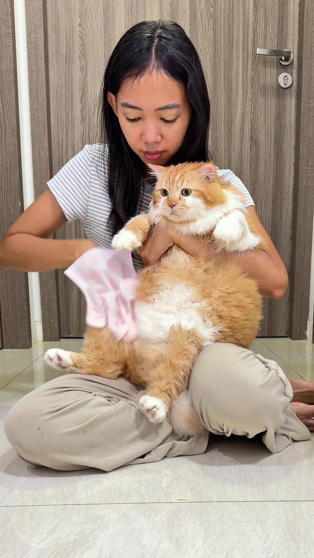 @nekokeikochan