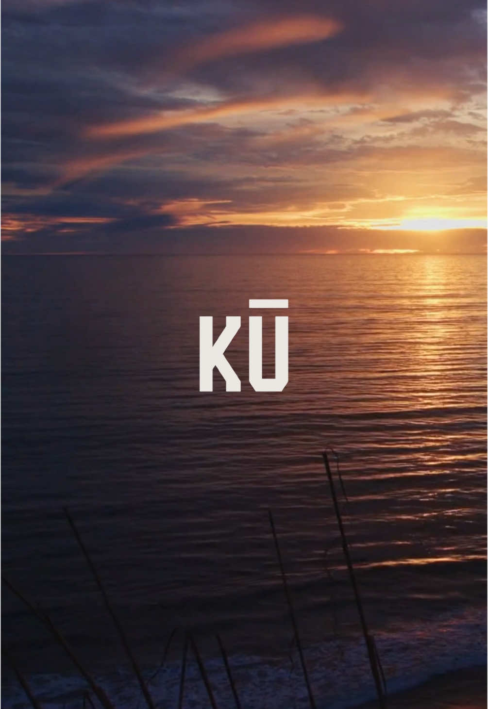 @Thekuproject