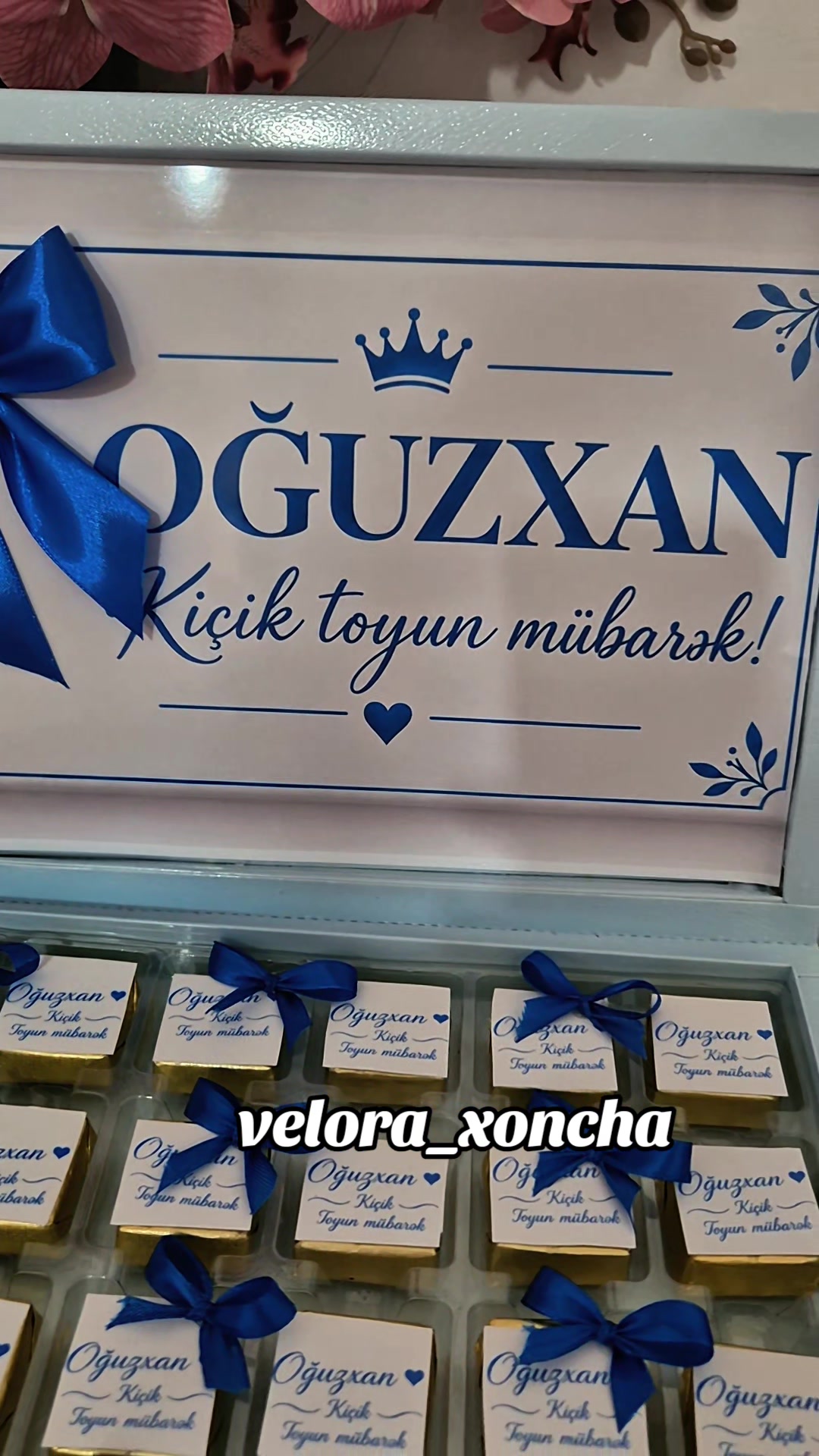 @Velora_Xoncha By Aysel