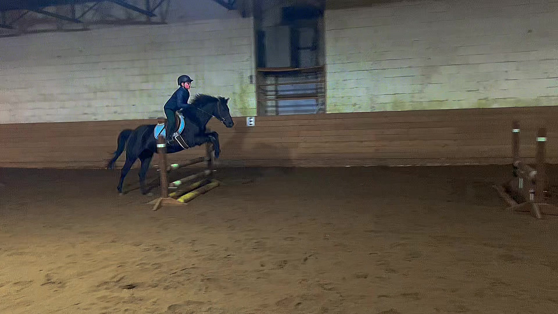 @Noah🐶🐎