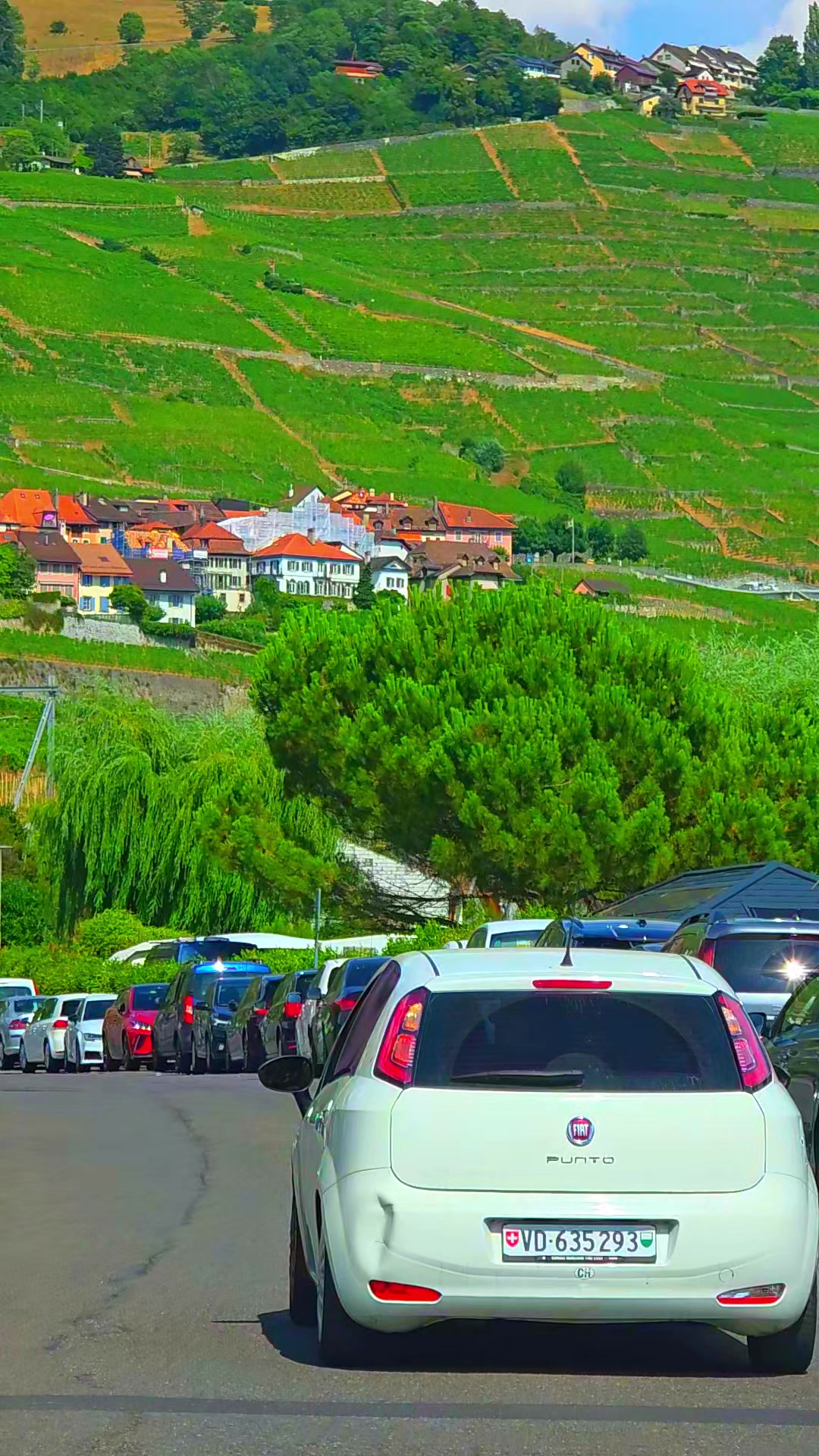 @🇨🇭flores Sérgio 🇵🇹
