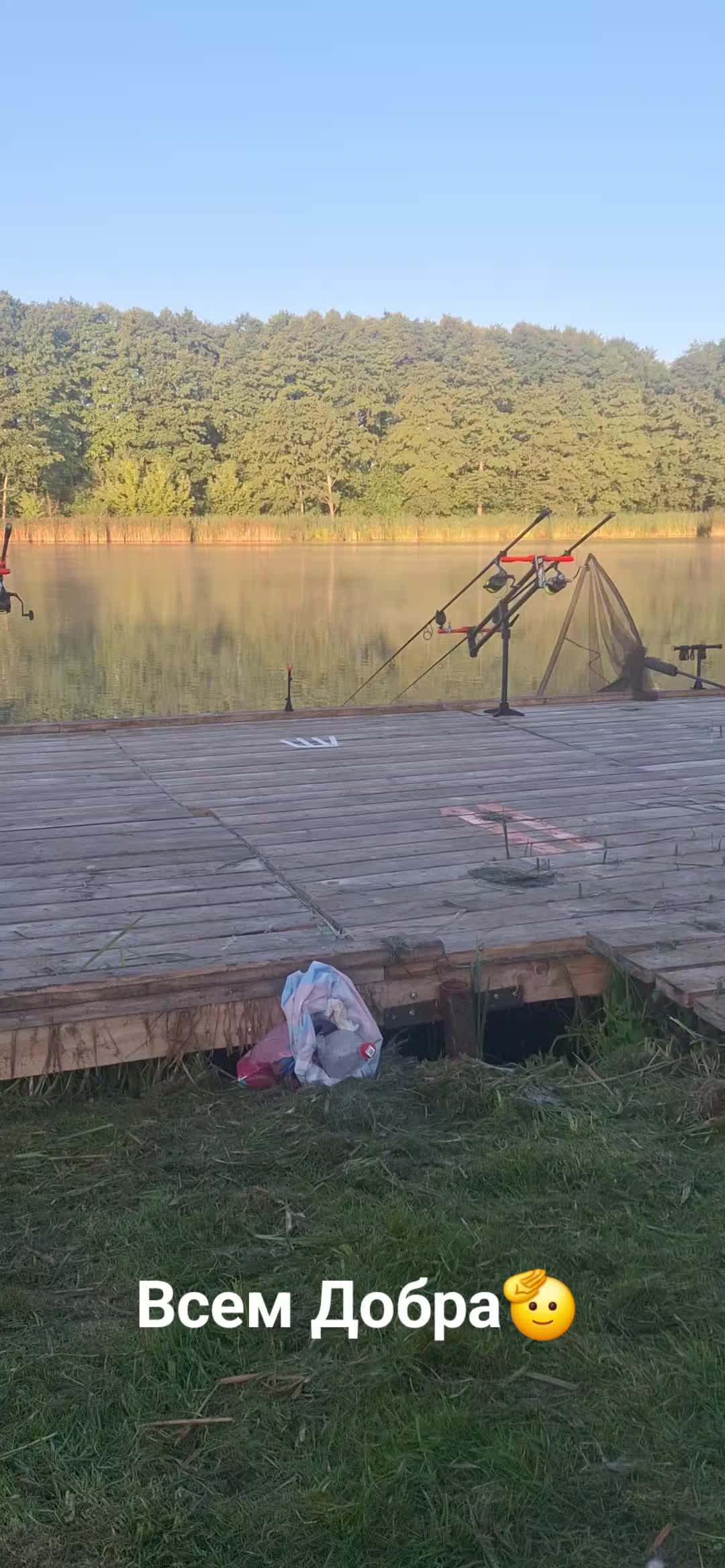 @Дикий карп рулит💪😎💪