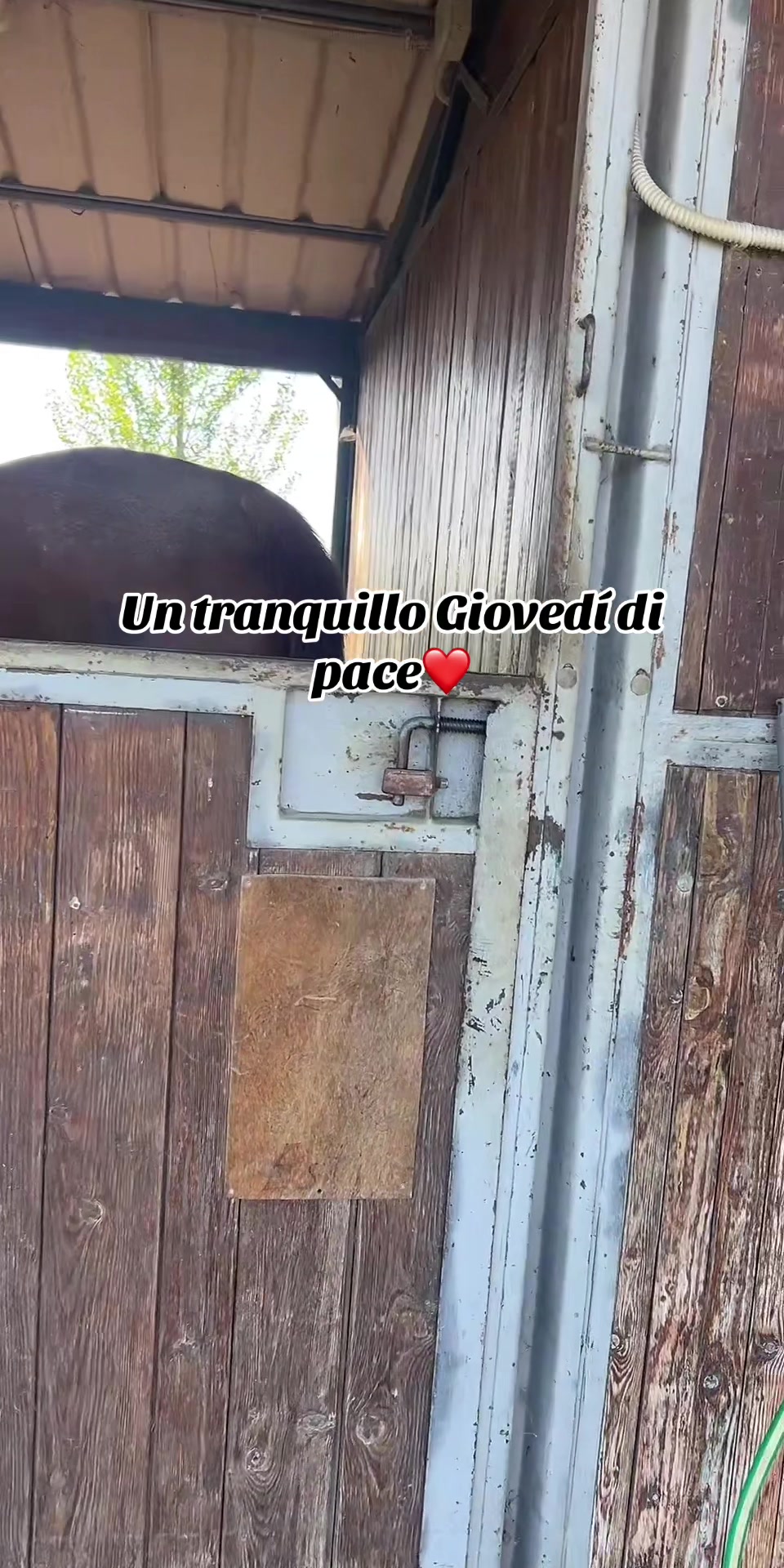 @Passione animali ❤️