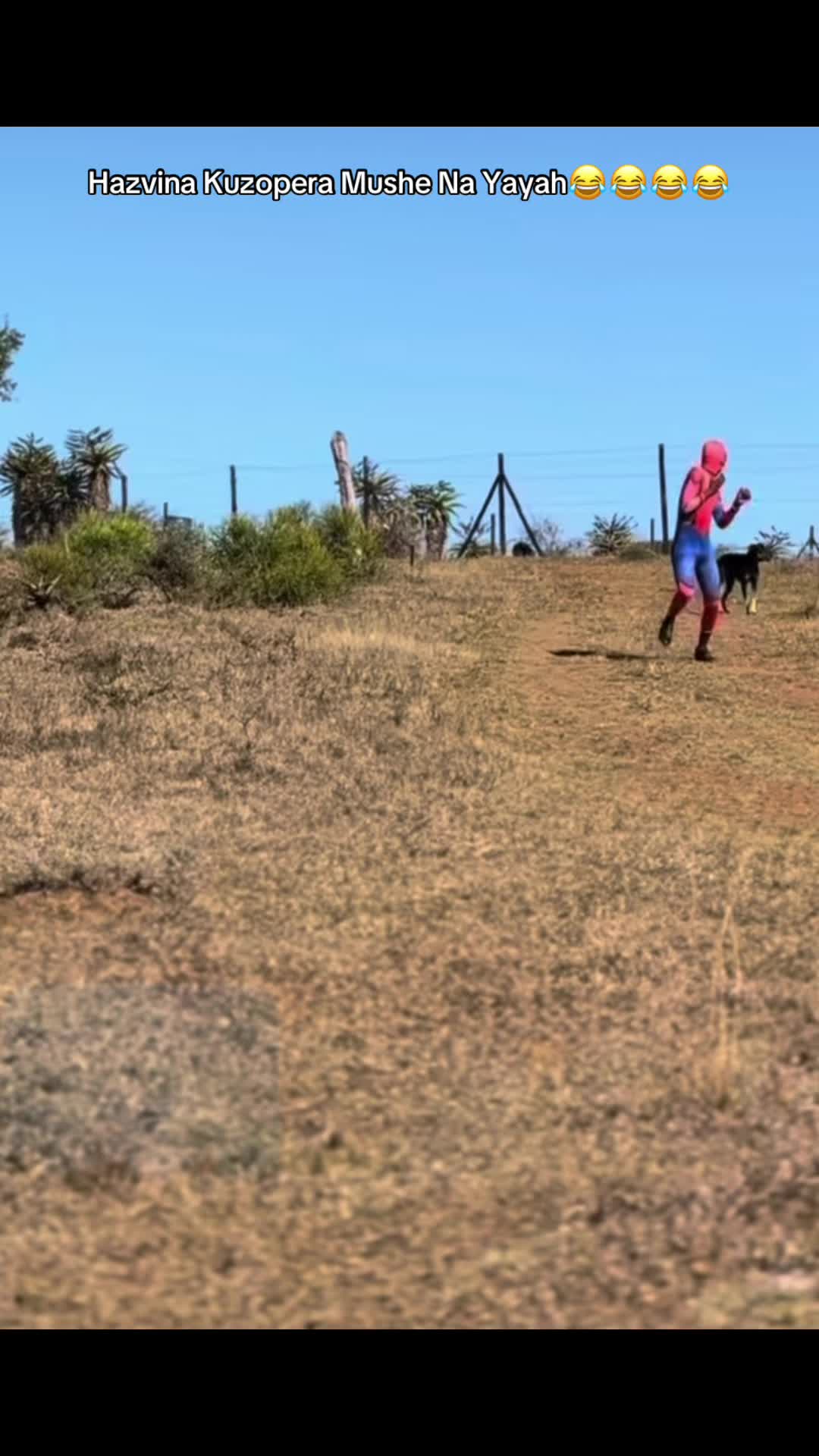 @Madzongo