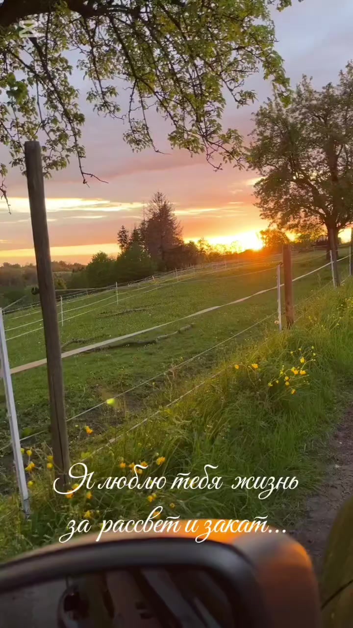 @Masha Orlowskaya