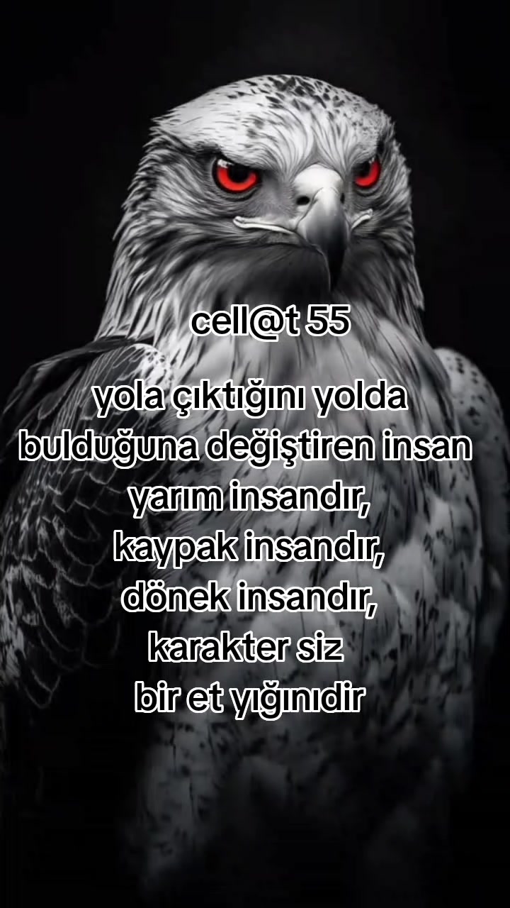 @🇹🇷҉͜͡ CELL@T55🇹🇷҉͜͡✭