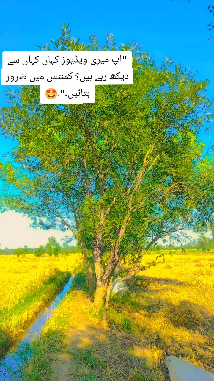 @Ayesha mayo🤍