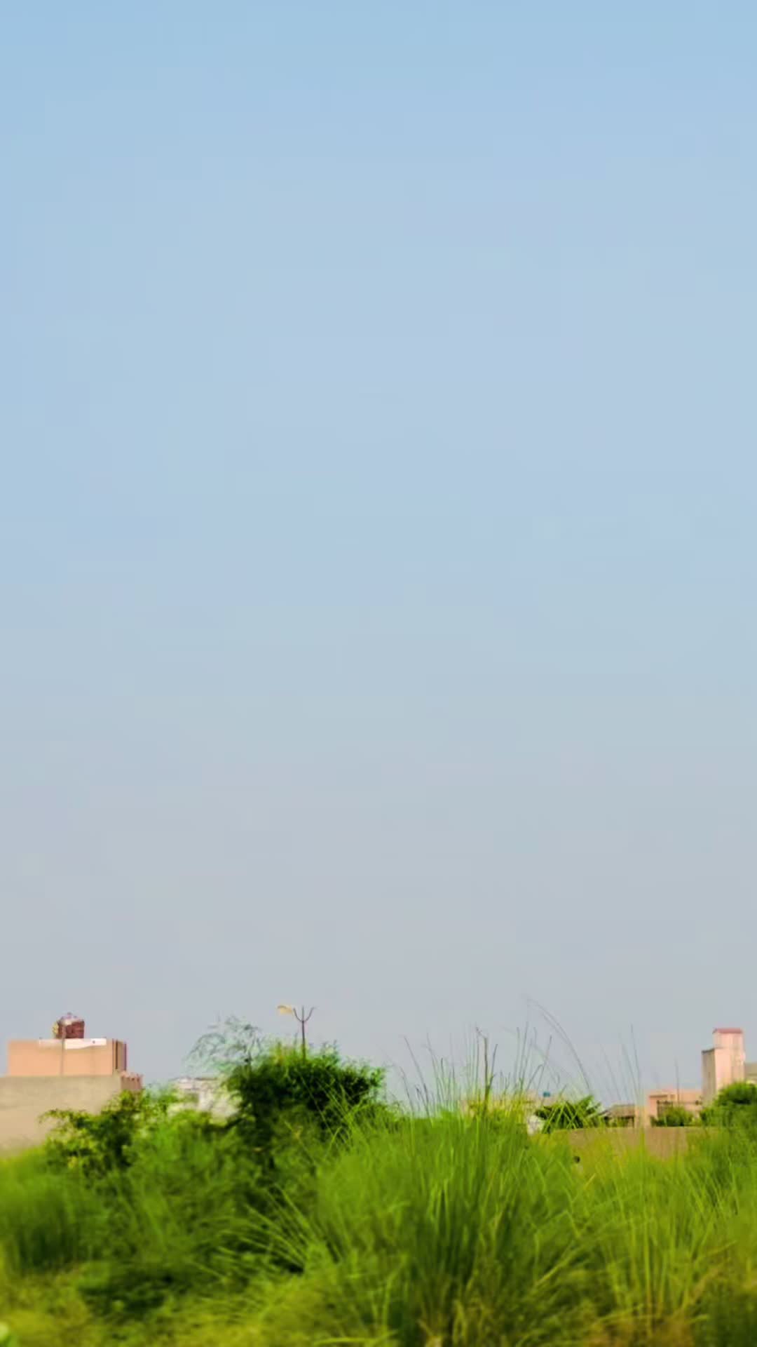 @🚩 Ammar Ali 🚩