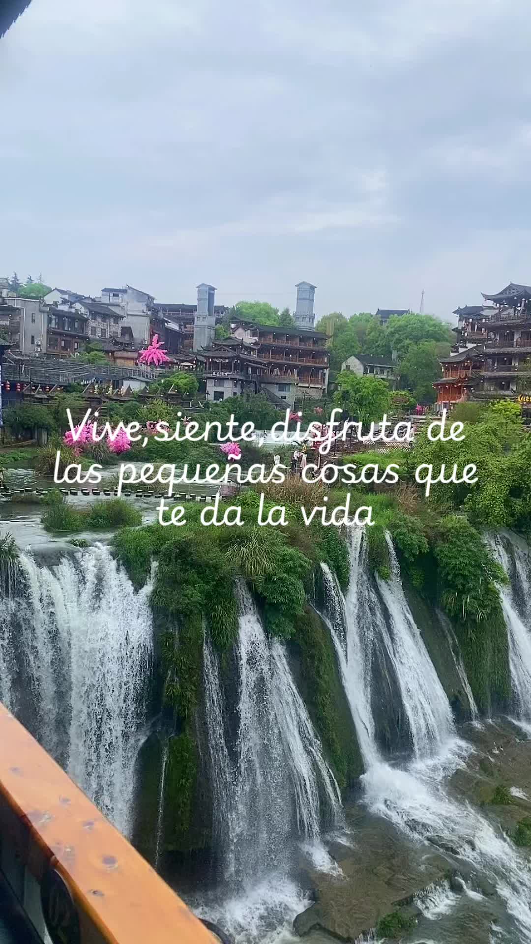 @mariajose29
