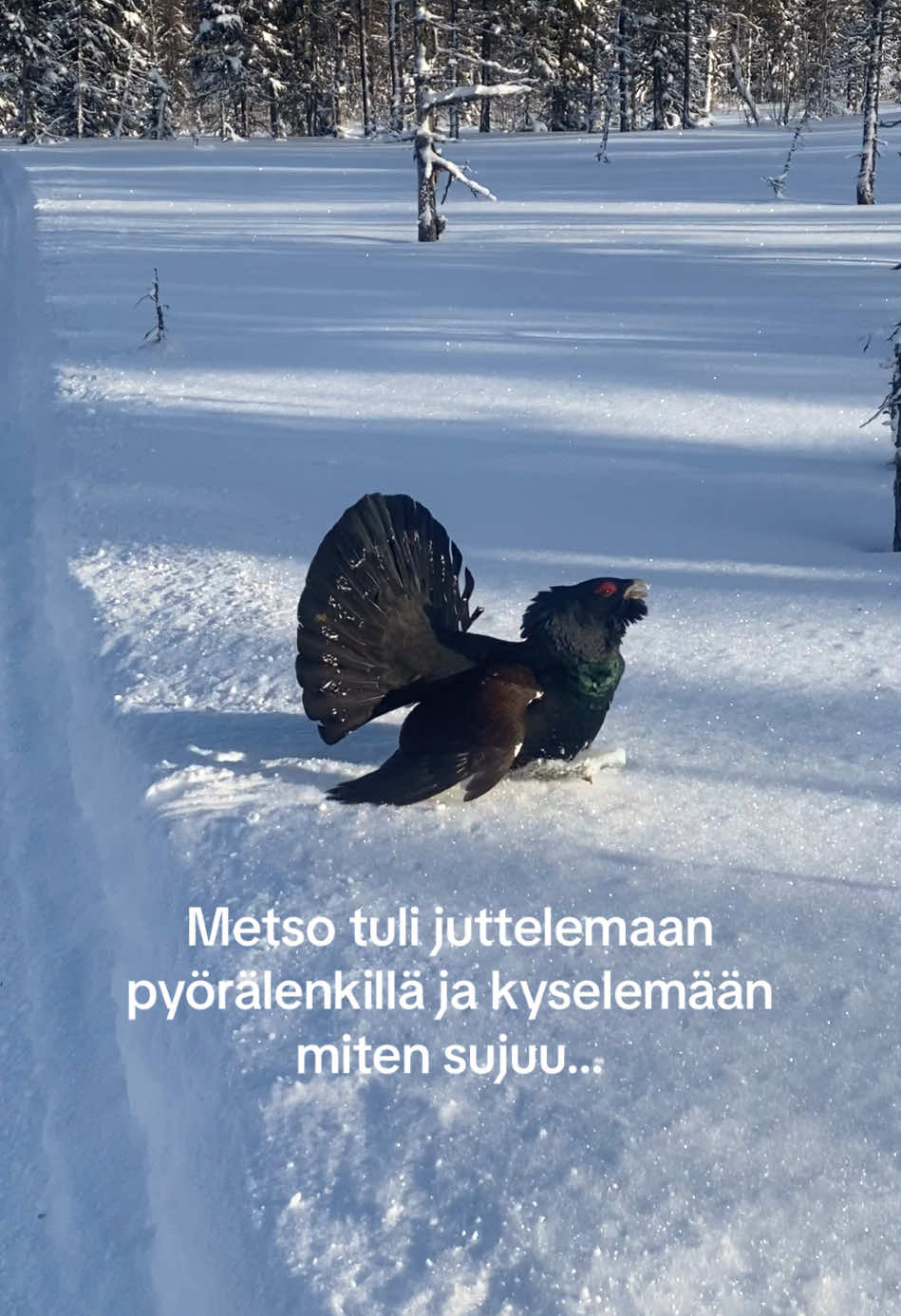 @Pvehmanen