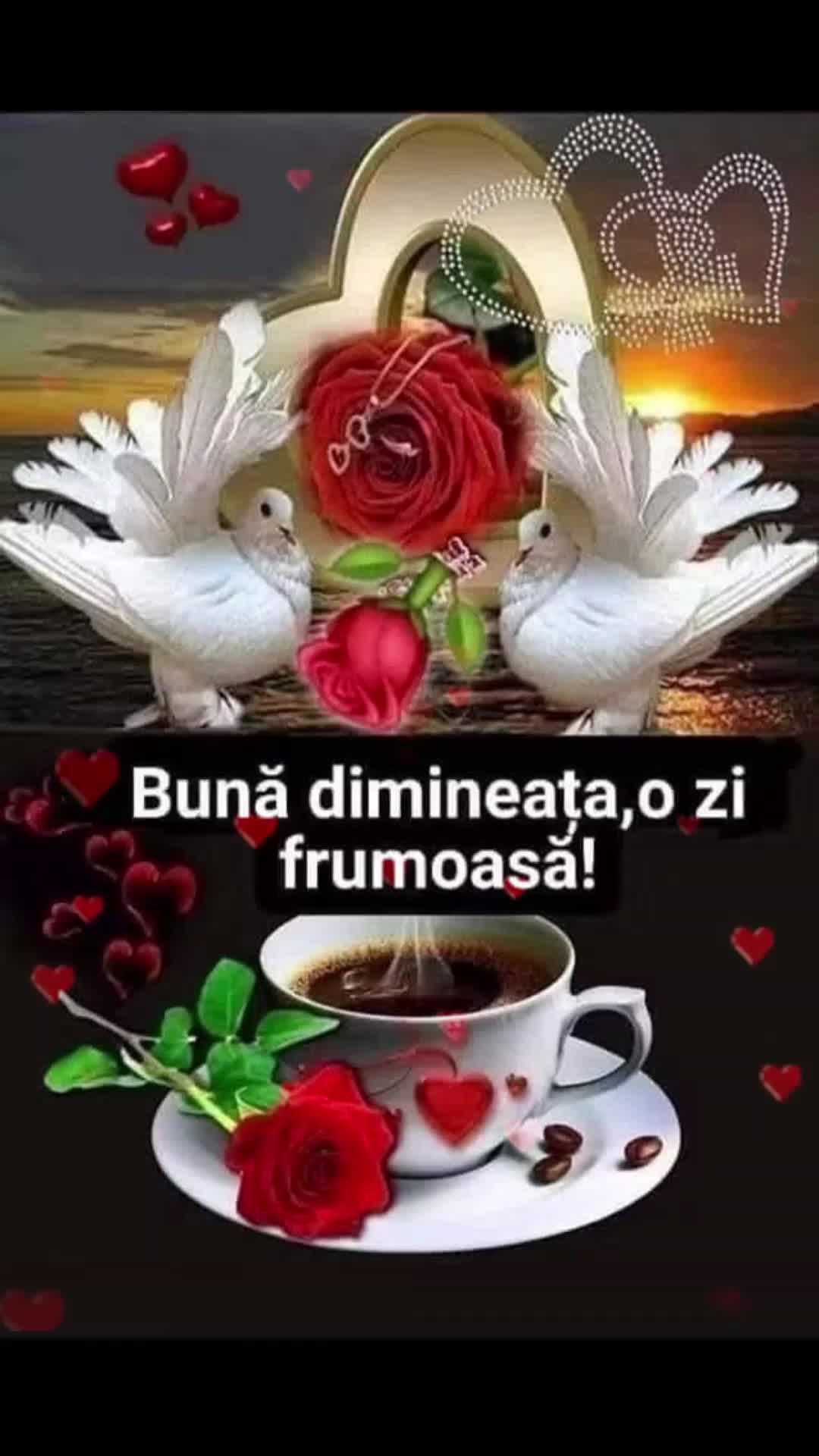 @Nicolae Iamandi Marin