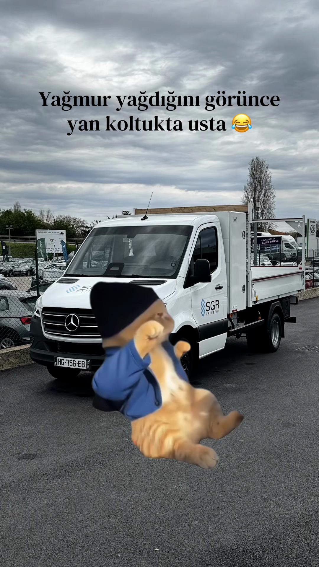 @Z.sgr4949