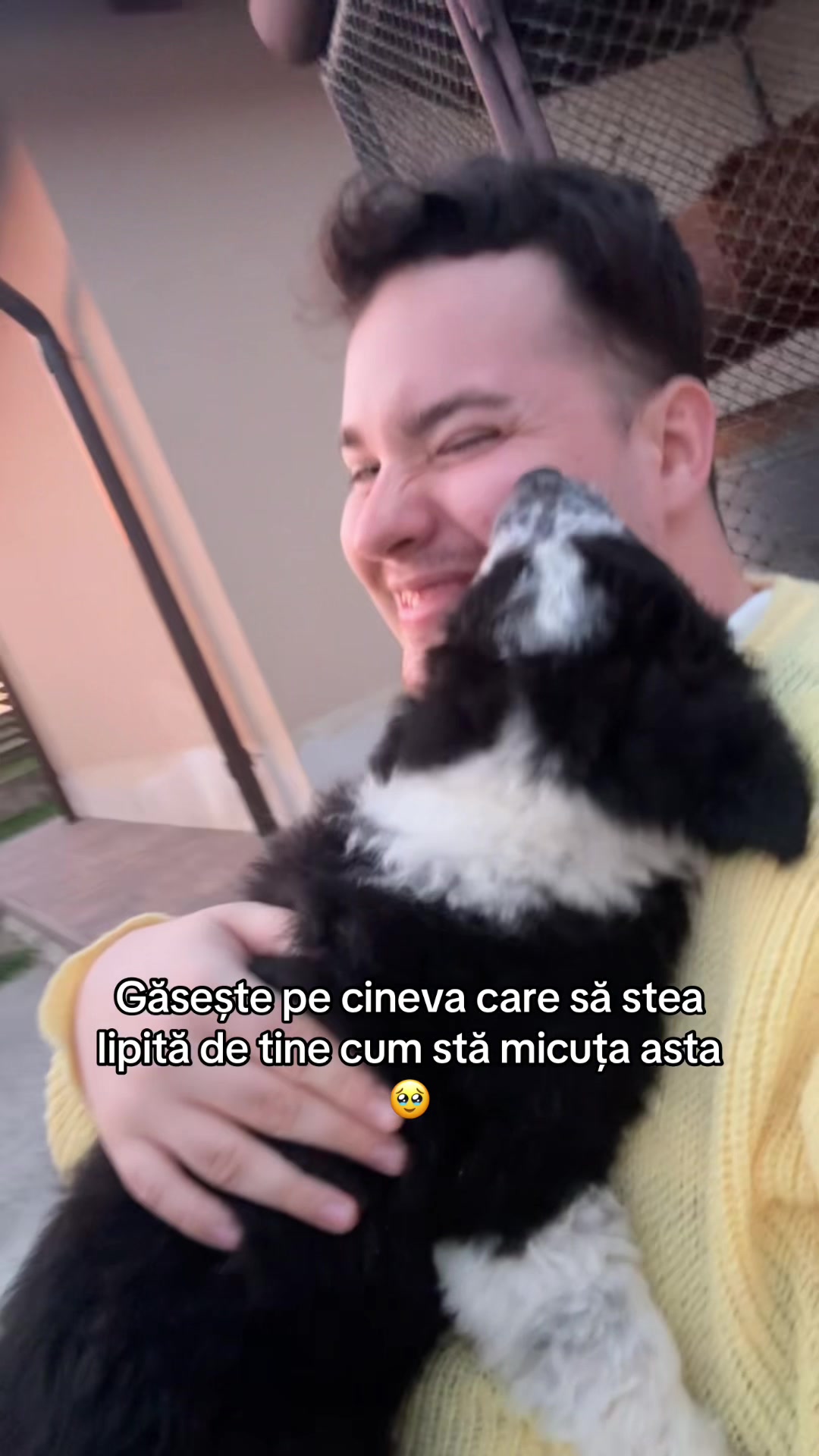 @Raul Petru Cristea