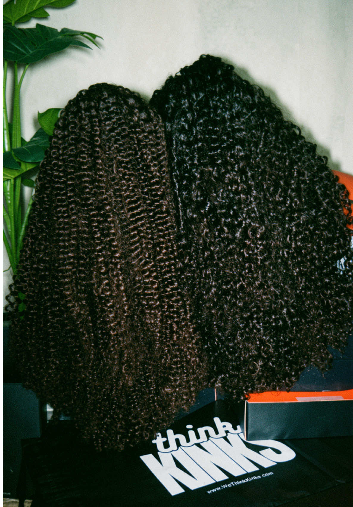 @thinkKINKS