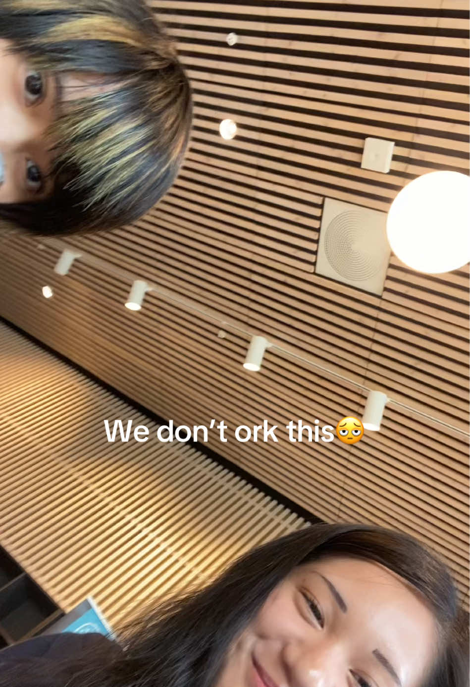 @MYLO 🐯