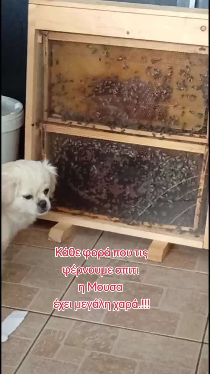 @Fasianos_bee_products