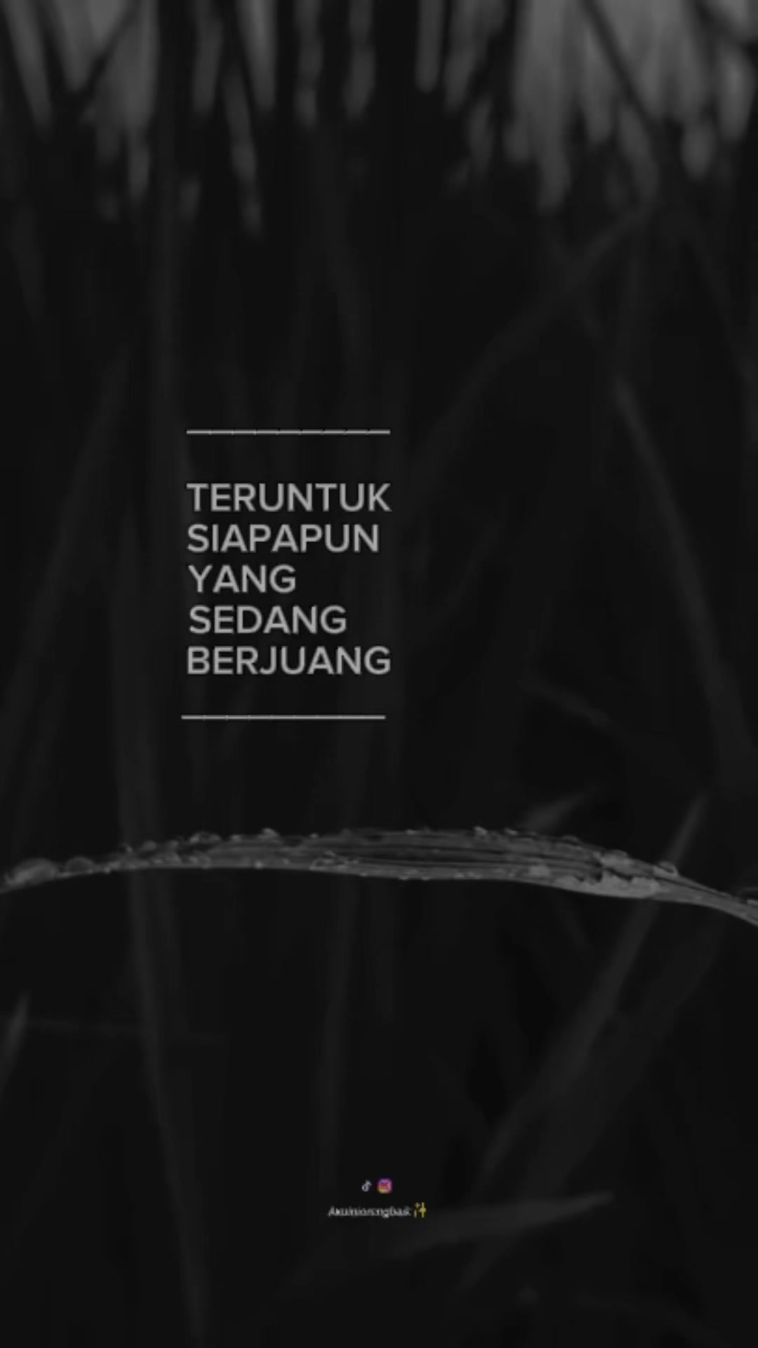 @Anak Bawang
