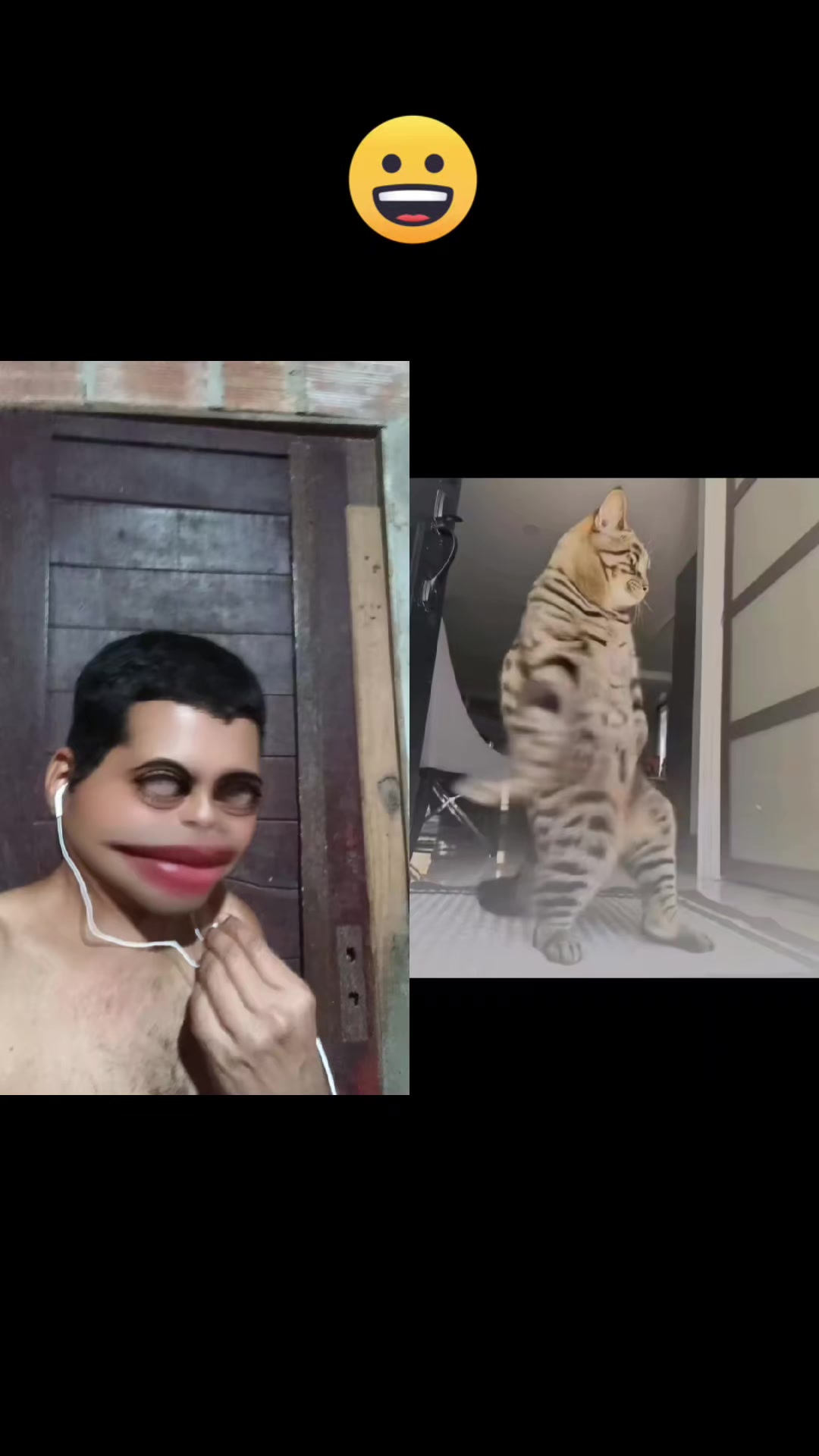 @Fabiano Roni