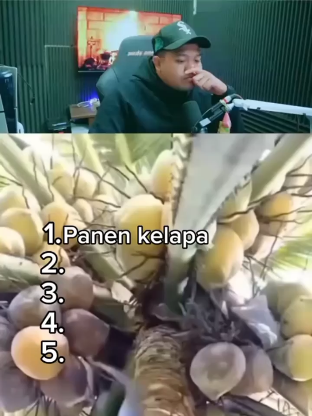 @K A Y  x  Hazeluna