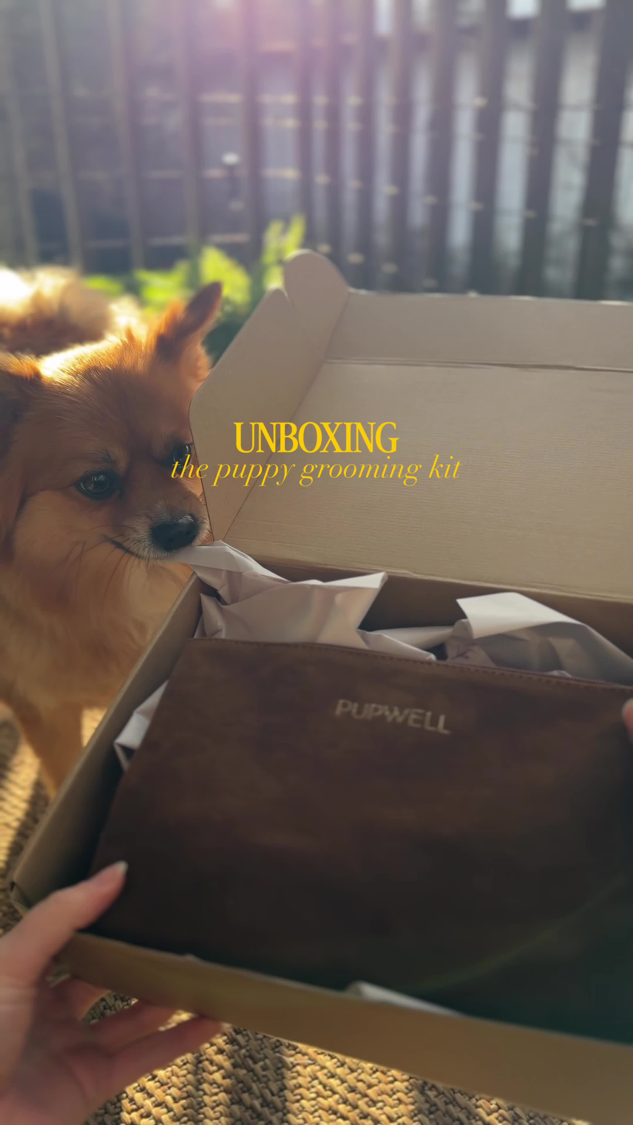 @Pupwell