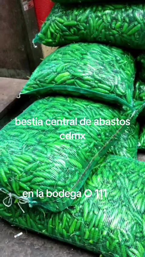 @Bestia central CDMX