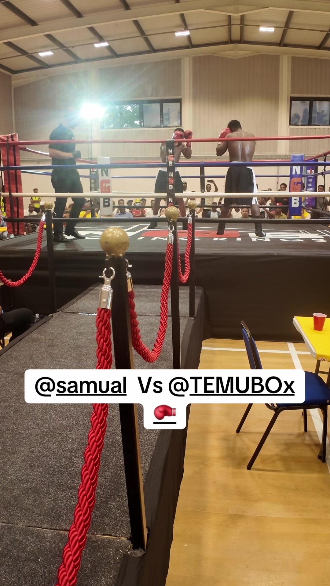 @Mo Mo Boxing🥊