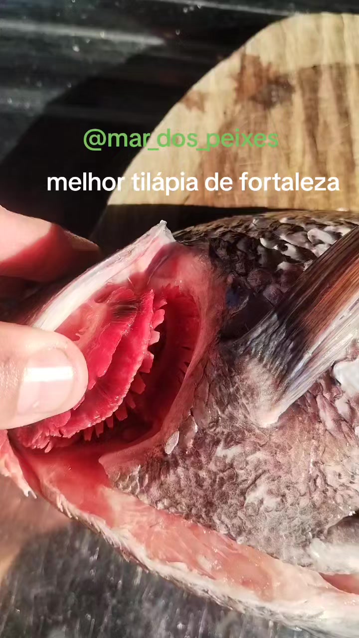 @Diegoalves2313