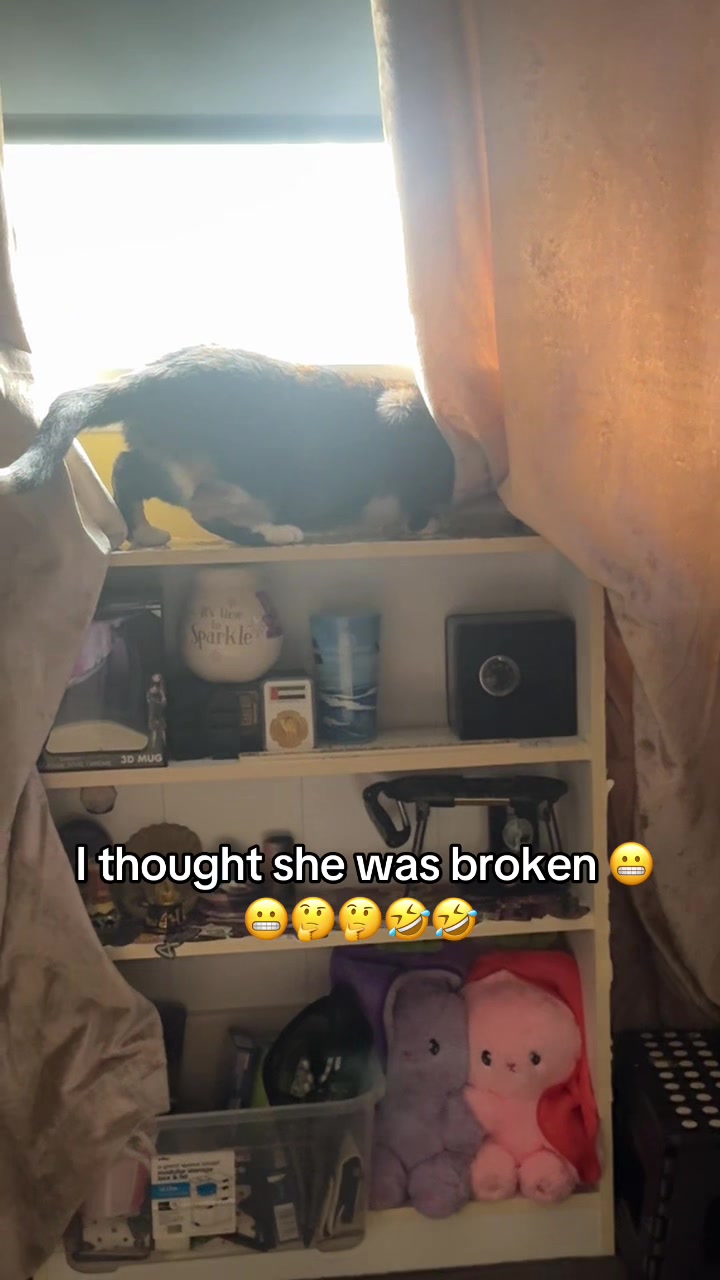 @Paigeyy