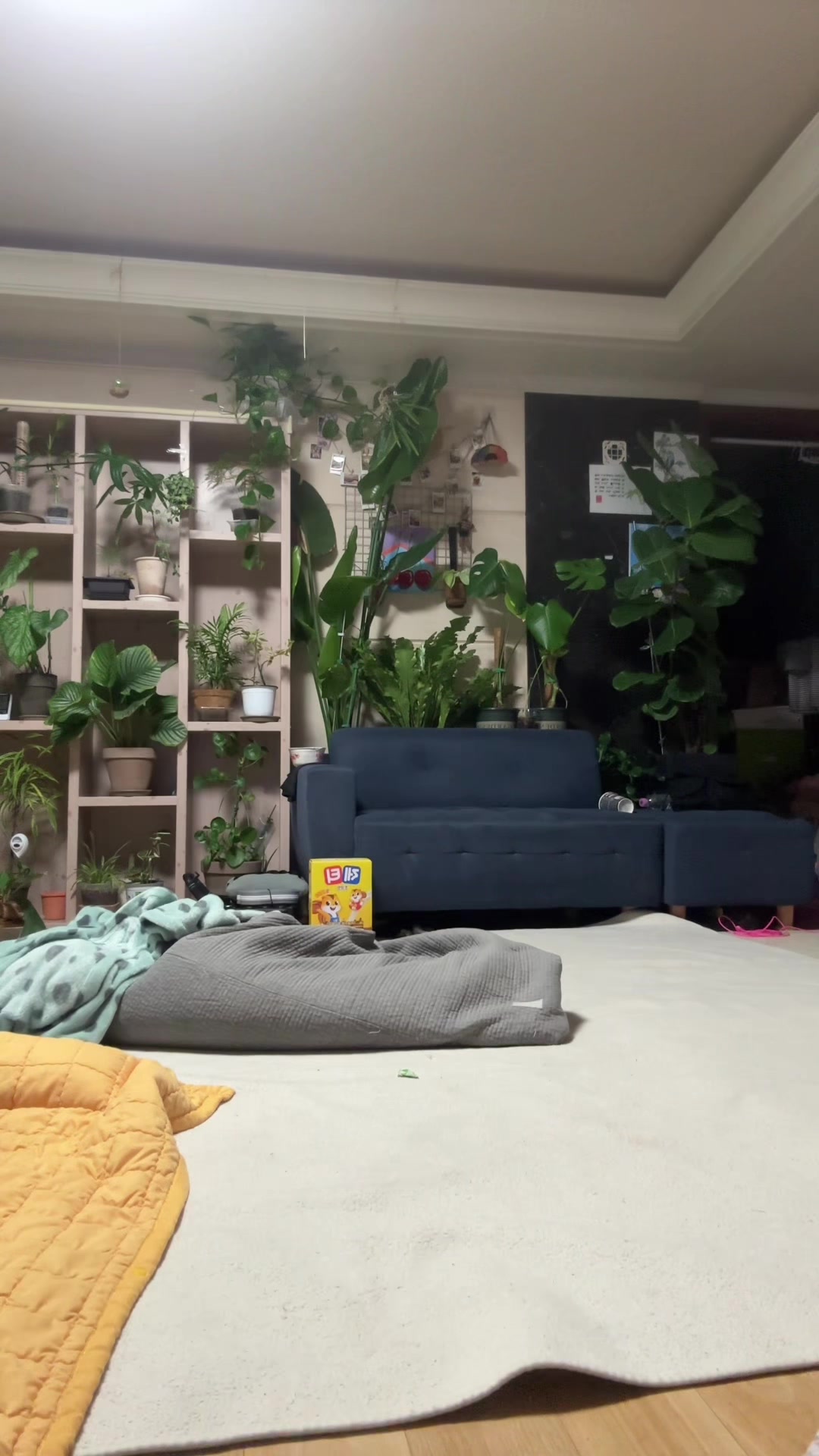 @지유보다 못생긴 뽀얁🤸&zwj;♀️