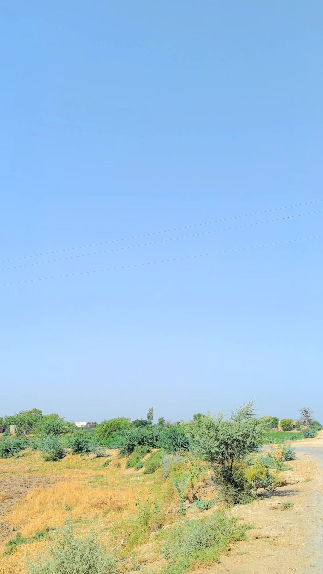 @ᴅᴀᴡᴏᴏᴅ 💫