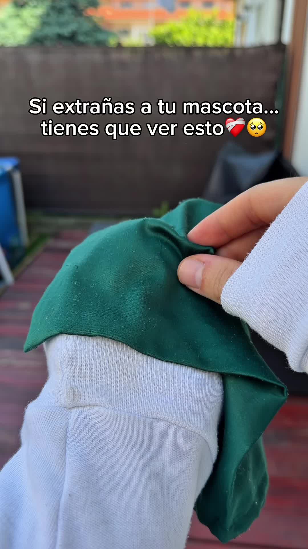 @🔮ENLACE EN LA BI0🔮