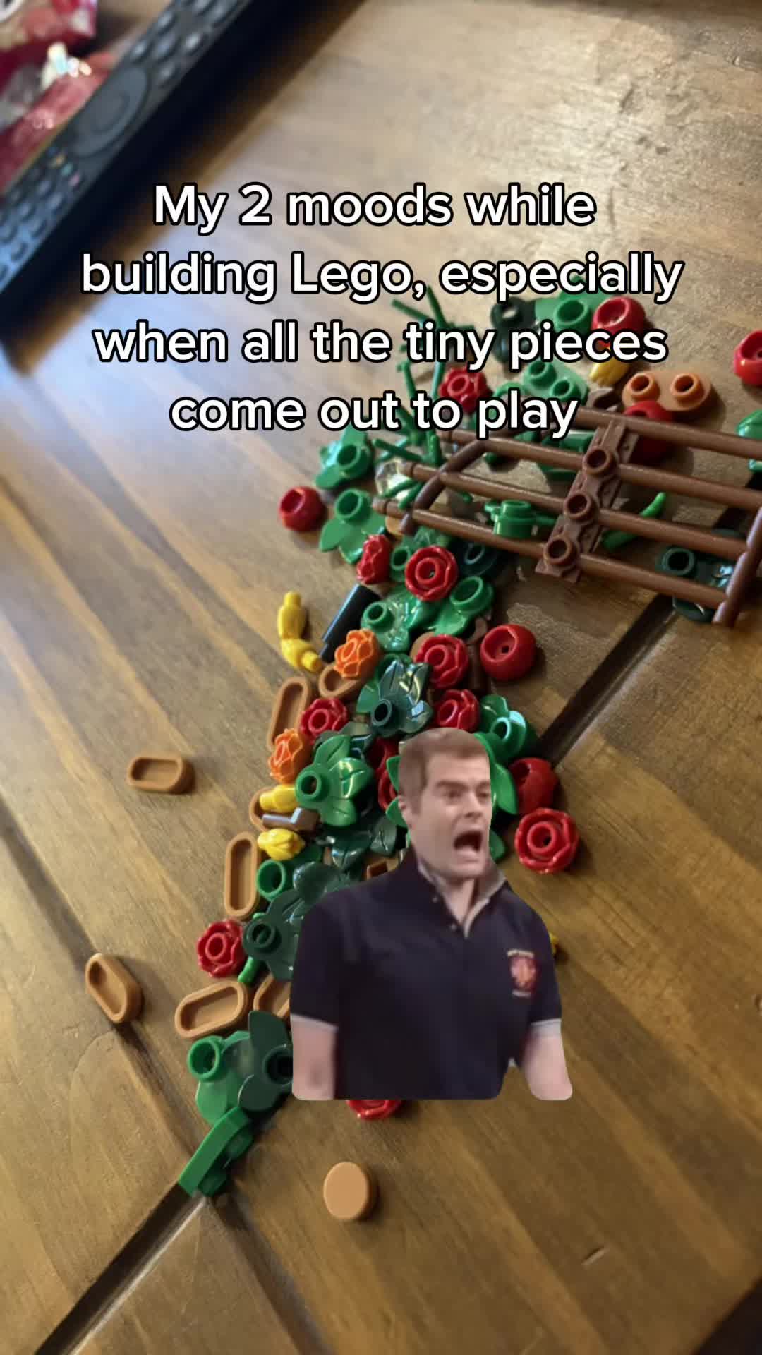 @thatplasticplantgirl