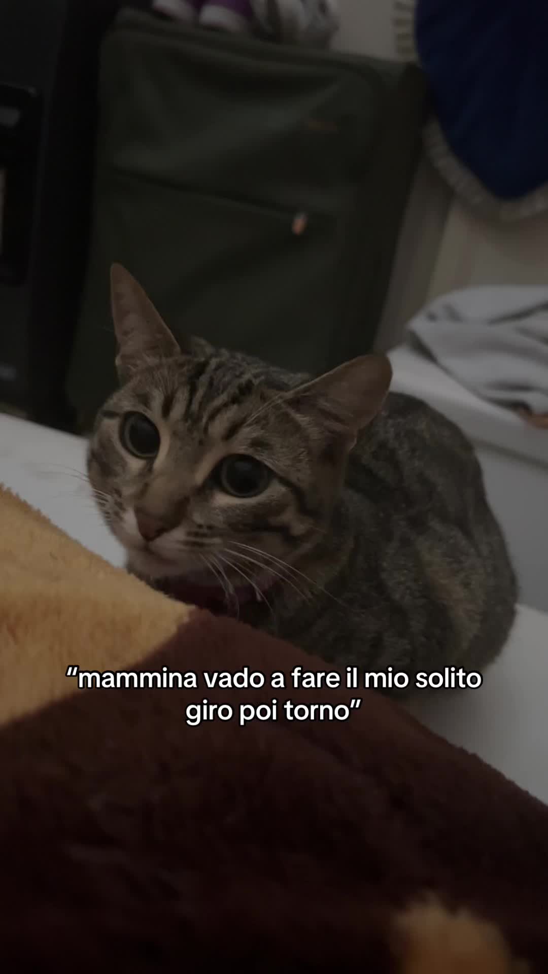 @💘𝒹𝑒𝓃𝓎_𝑒_𝒶𝓁𝑒𝟢𝟥💘