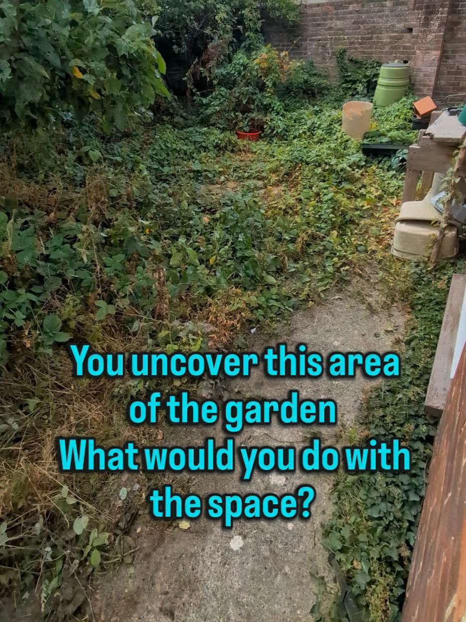 @Gary Hall Garden Services