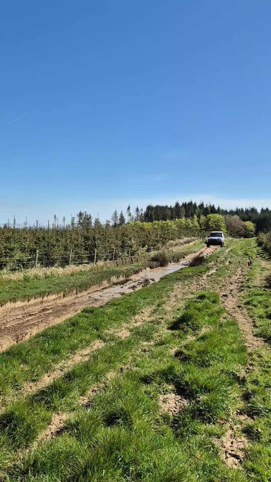@slate and steel 4x4