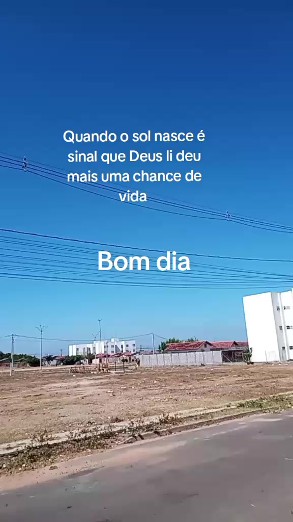 @maurotavares488