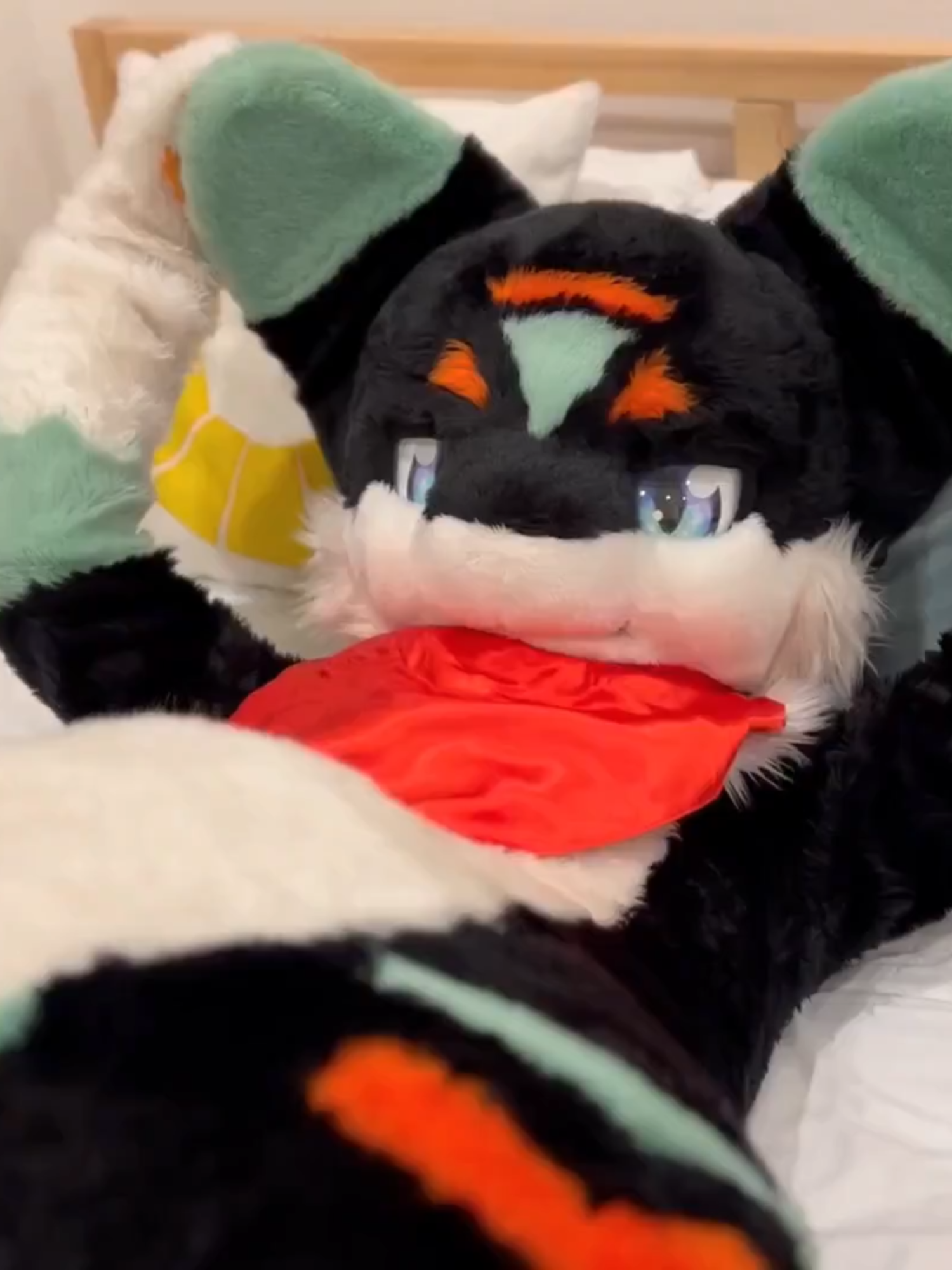 @radywolf