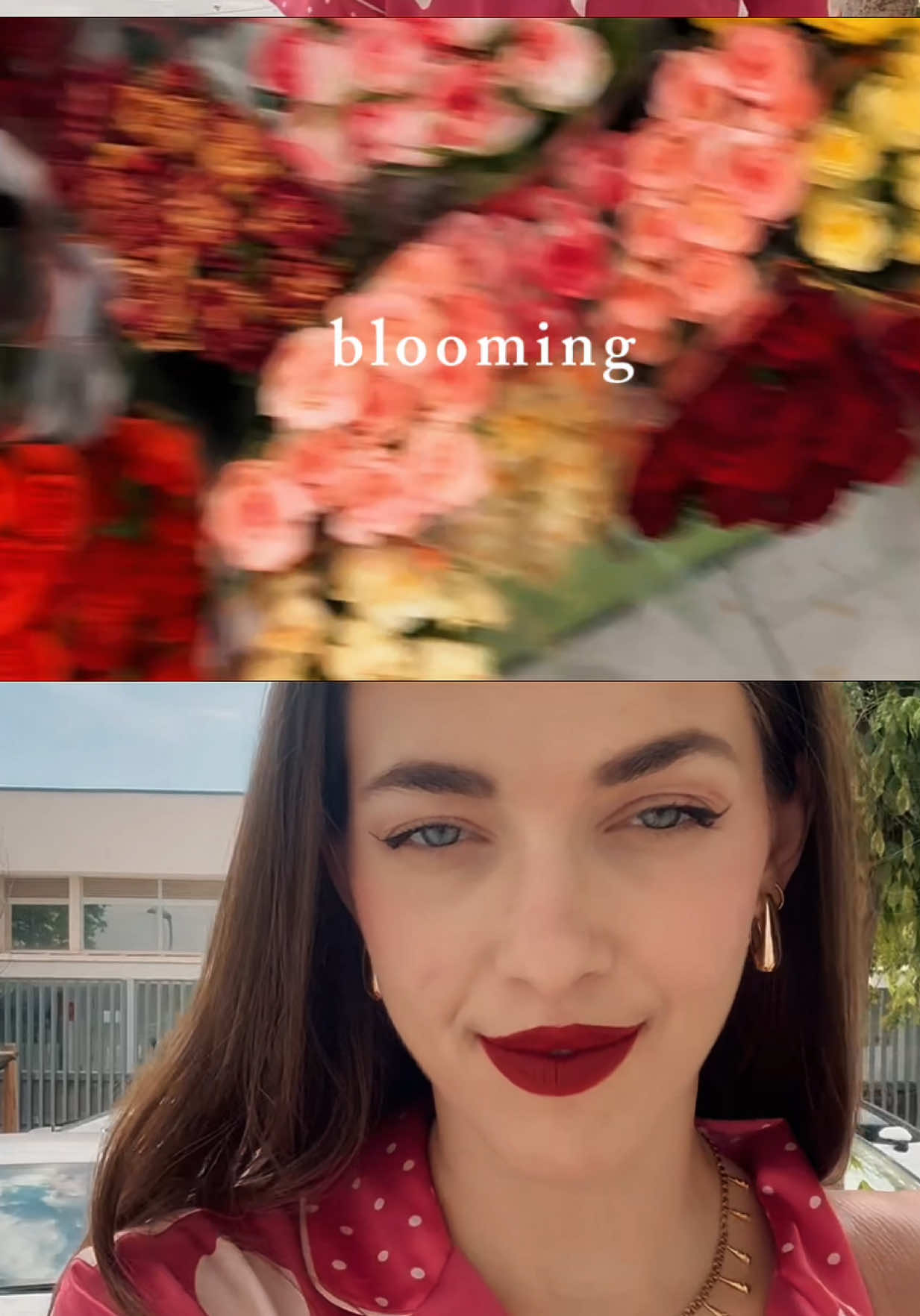@ARAYA