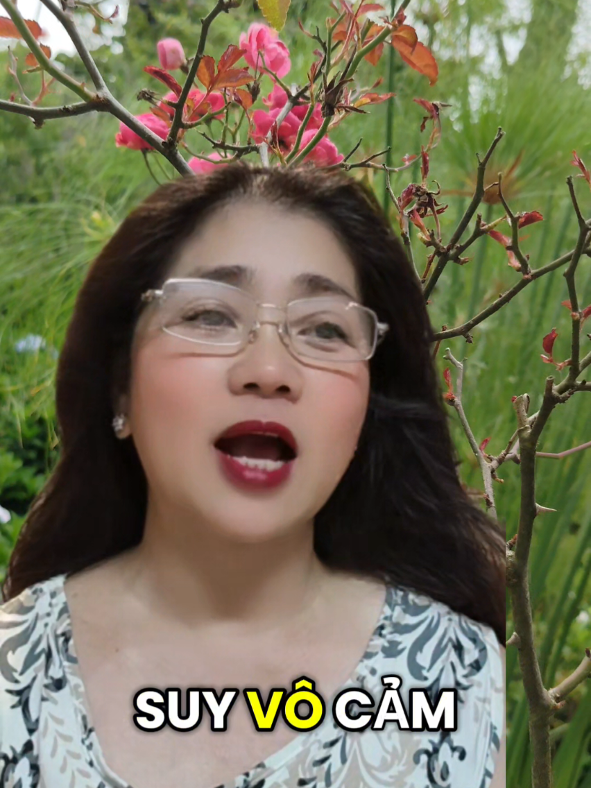 @Tố Quyên