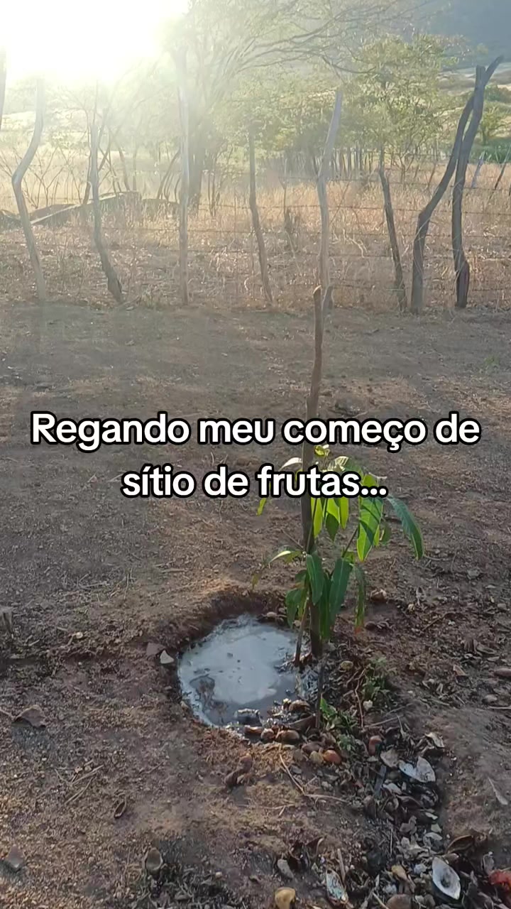 @Amante da natureza