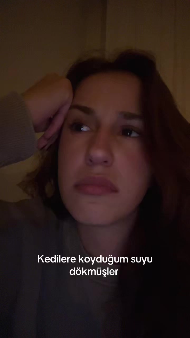 @Ayshe