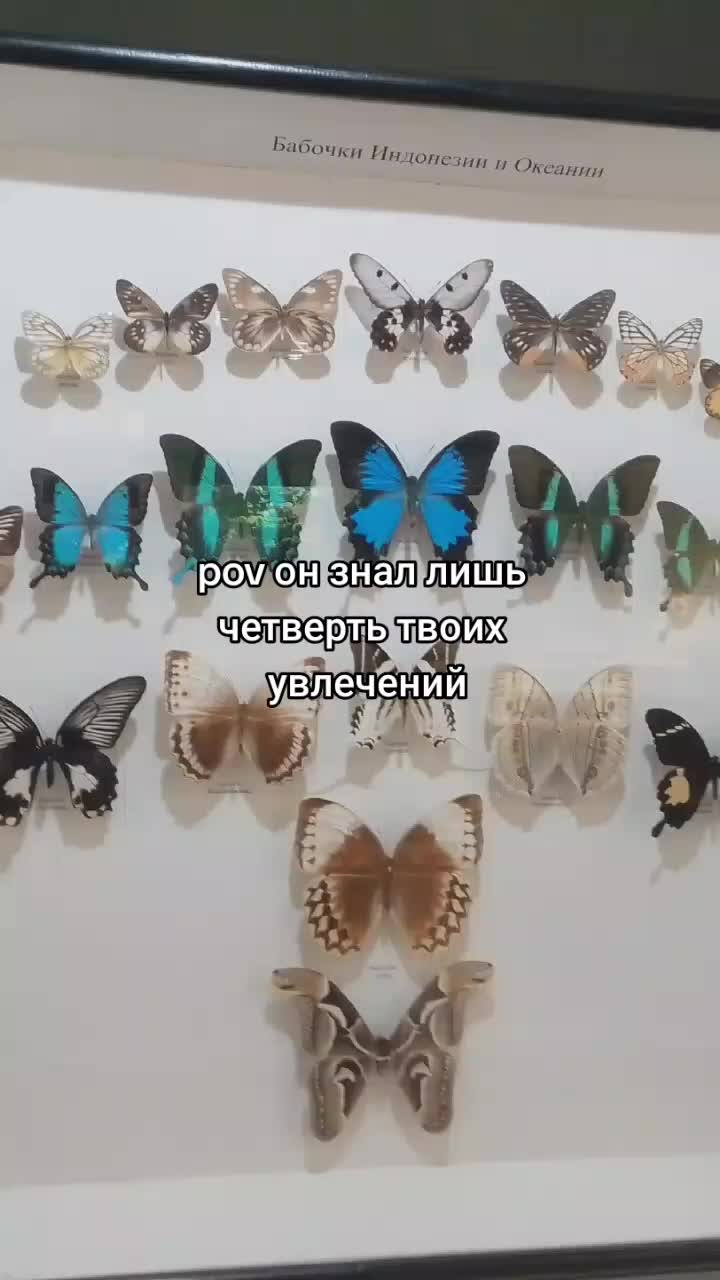 @я хотя бы не рыжий