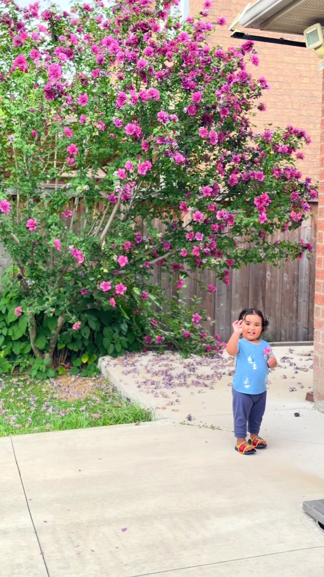 @jassu bhullar